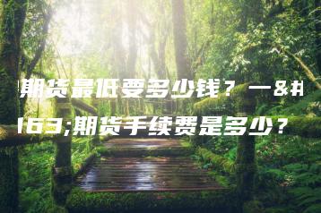 炒期货最低要多少钱？一手期货手续费是多少？