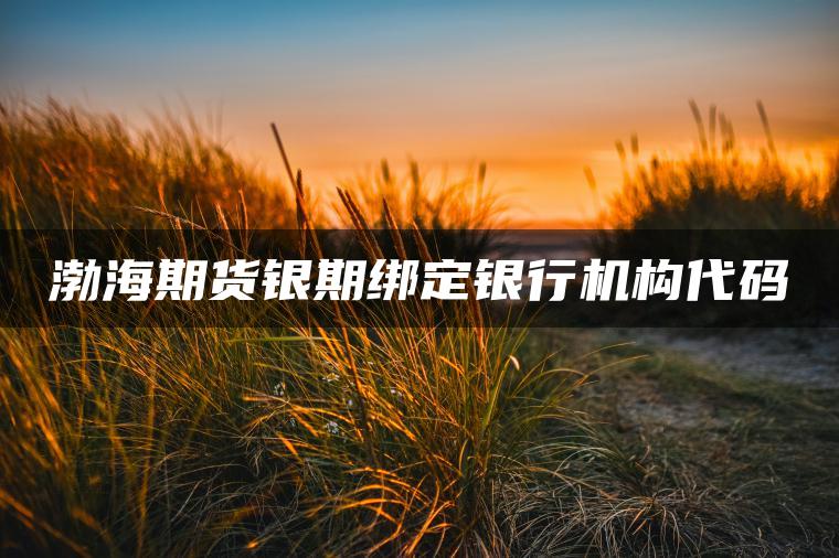 渤海期货银期绑定银行机构代码