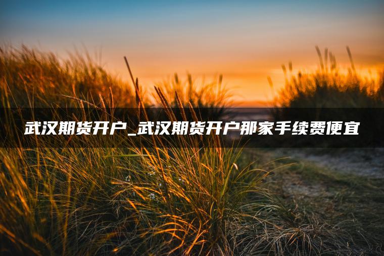 武汉期货开户_武汉期货开户那家手续费便宜 武汉期货开户_武汉期货开户那家手续费便宜