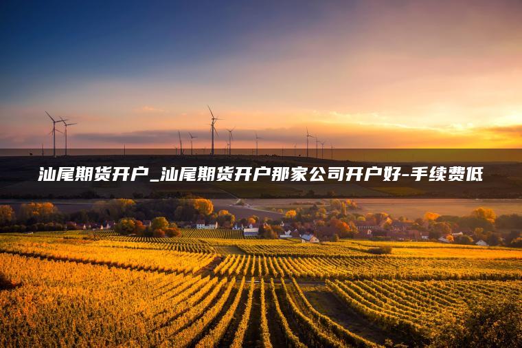 汕尾期货开户_汕尾期货开户那家公司开户好-手续费低 汕尾期货开户_汕尾期货开户那家公司开户好-手续费低