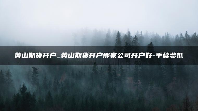黄山期货开户_黄山期货开户那家公司开户好-手续费低