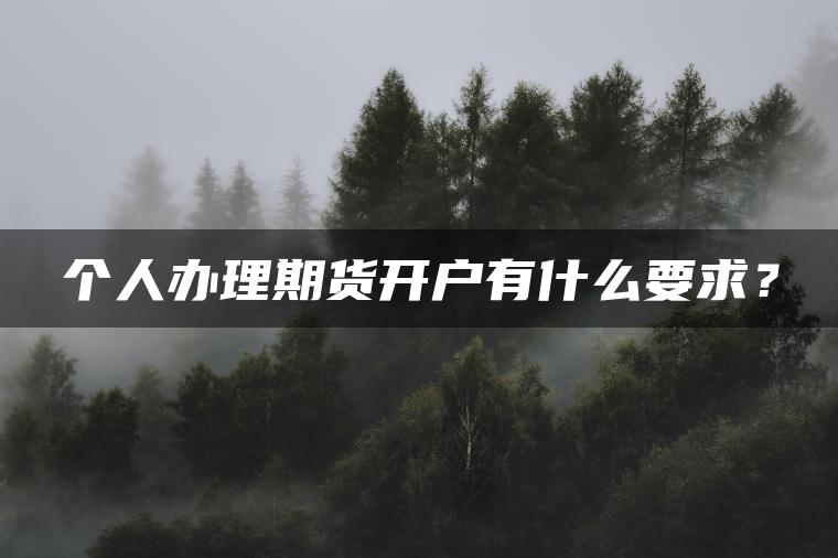 个人办理期货开户有什么要求？