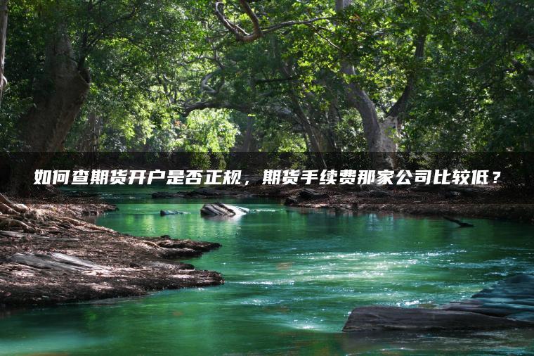 如何查期货开户是否正规，期货手续费那家公司比较低？
