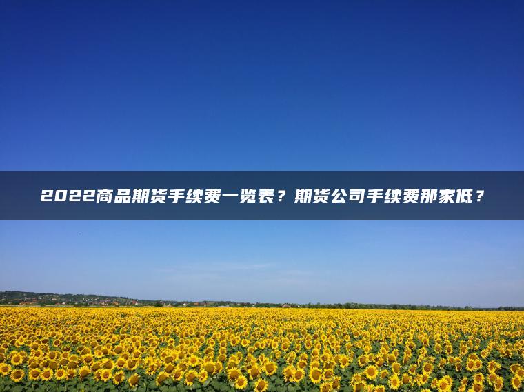 2022商品期货手续费一览表？期货公司手续费那家低？