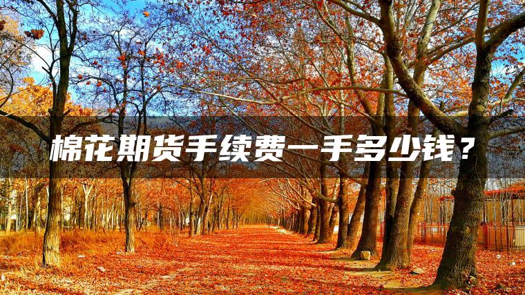棉花期货手续费一手多少钱？