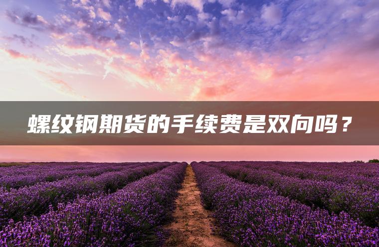 螺纹钢期货的手续费是双向吗？