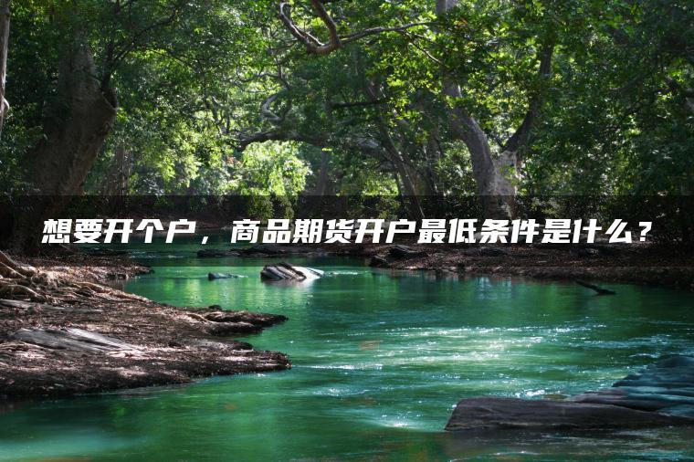 想要开个户，商品期货开户最低条件是什么？