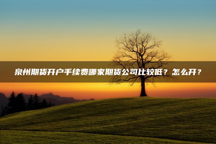 泉州期货开户手续费哪家期货公司比较低?怎么开? 泉州期货开户手续费哪家期货公司比较低?怎么开?