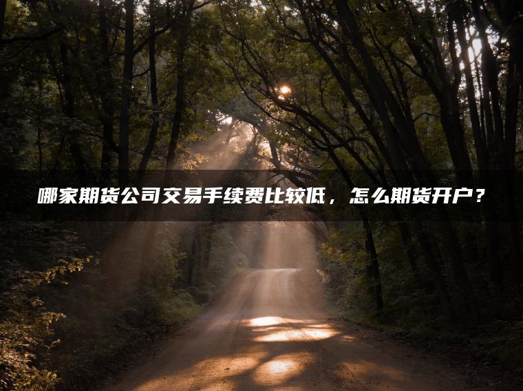 哪家期货公司交易手续费比较低,怎么期货开户? 哪家期货公司交易手续费比较低,怎么期货开户?