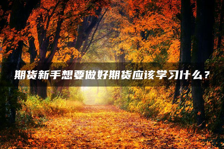 期货新手想要做好期货应该学习什么? 期货新手想要做好期货应该学习什么?
