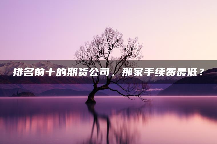 排名前十的期货公司，那家手续费最低？