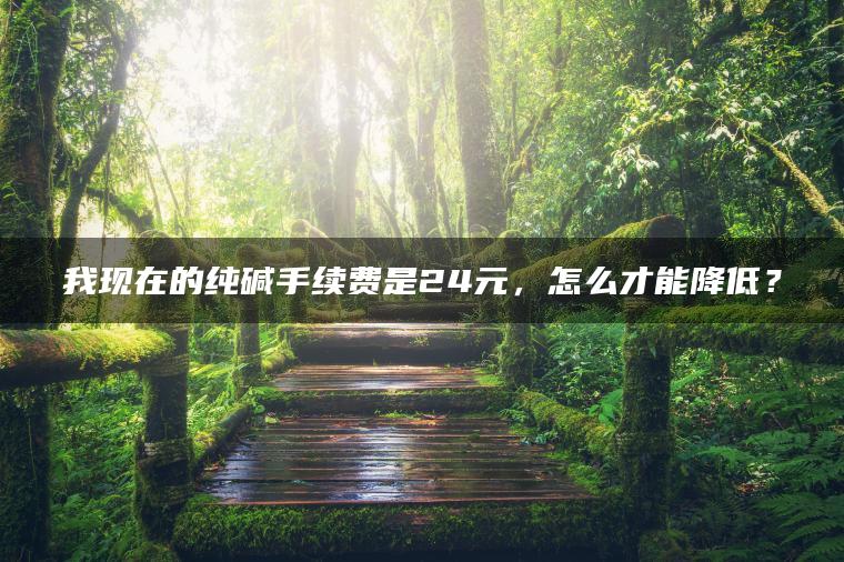 我现在的纯碱手续费是24元，怎么才能降低？
