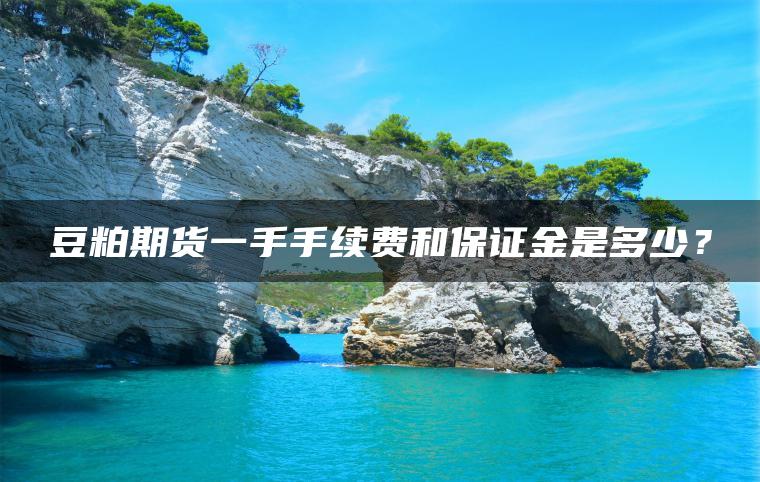 豆粕期货一手手续费和保证金是多少？