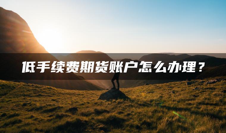 低手续费期货账户怎么办理? 低手续费期货账户怎么办理?