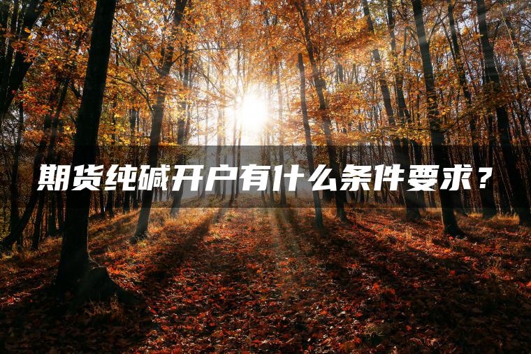 期货纯碱开户有什么条件要求? 期货纯碱开户有什么条件要求?