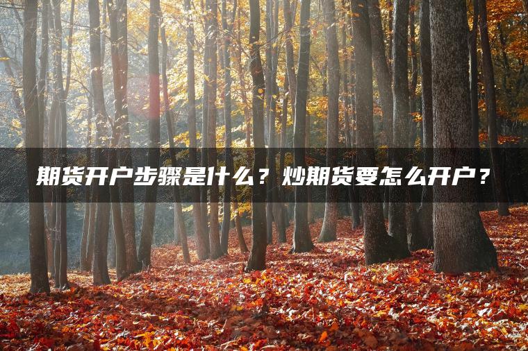 期货开户步骤是什么?炒期货要怎么开户? 期货开户步骤是什么?炒期货要怎么开户?