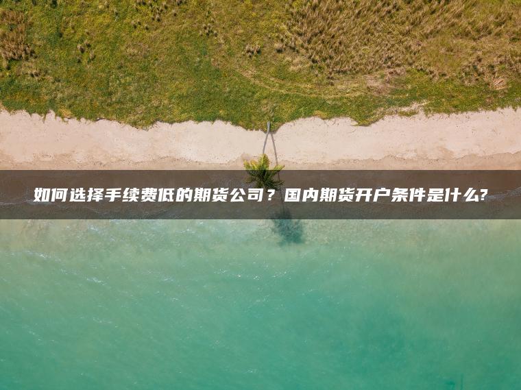 如何选择手续费低的期货公司?国内期货开户条件是什么? 如何选择手续费低的期货公司?国内期货开户条件是什么?