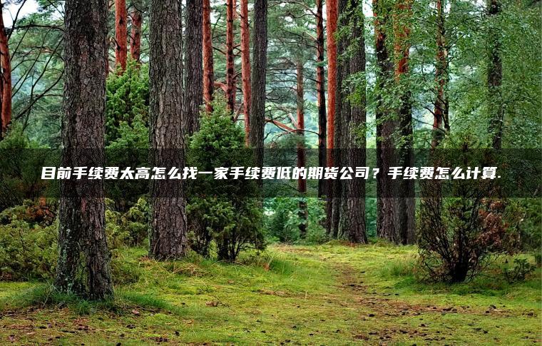 目前手续费太高怎么找一家手续费低的期货公司？手续费怎么计算.