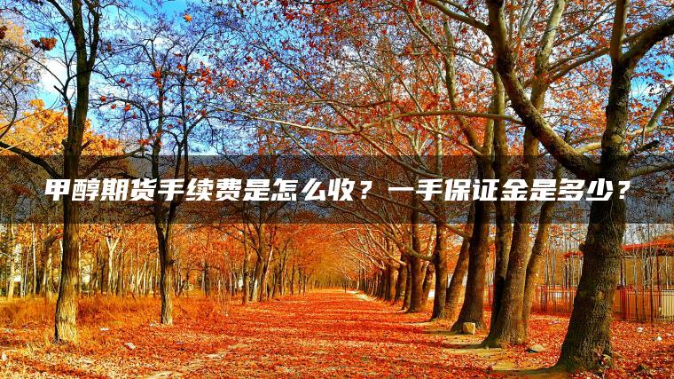 甲醇期货手续费是怎么收？一手保证金是多少？