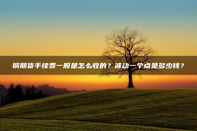 铜期货手续费一般是怎么收的？波动一个点是多少钱？