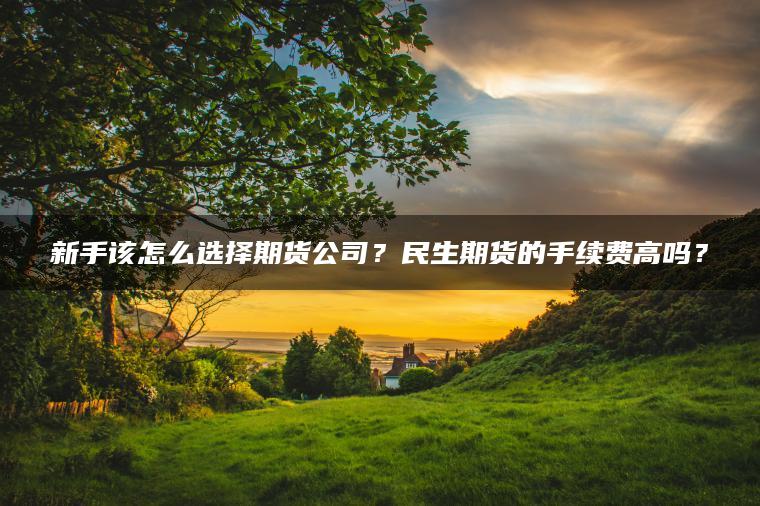 新手该怎么选择期货公司?民生期货的手续费高吗? 新手该怎么选择期货公司?民生期货的手续费高吗?