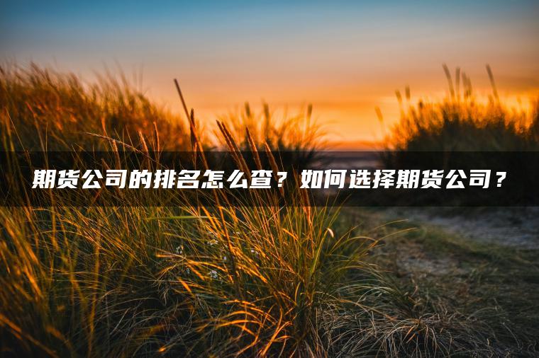期货公司的排名怎么查？如何选择期货公司？