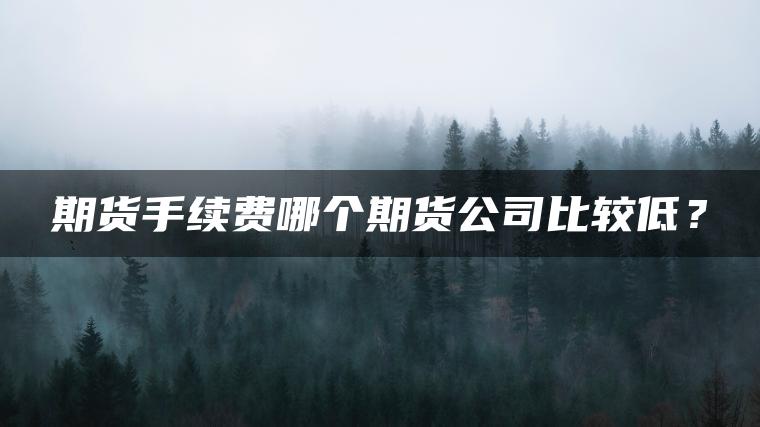 期货手续费哪个期货公司比较低？