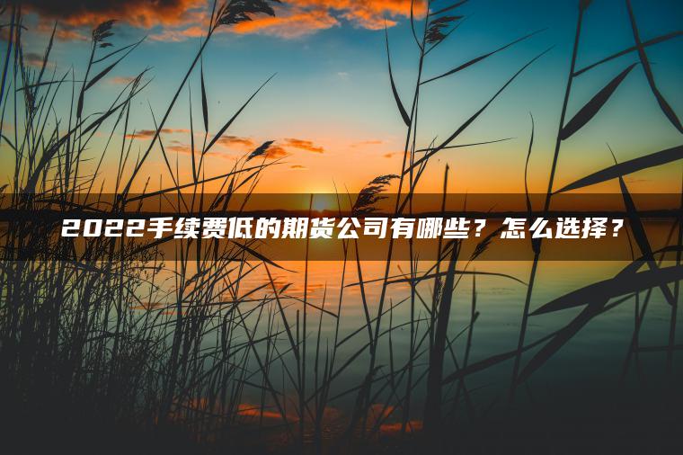 2022手续费低的期货公司有哪些?怎么选择? 2022手续费低的期货公司有哪些?怎么选择?