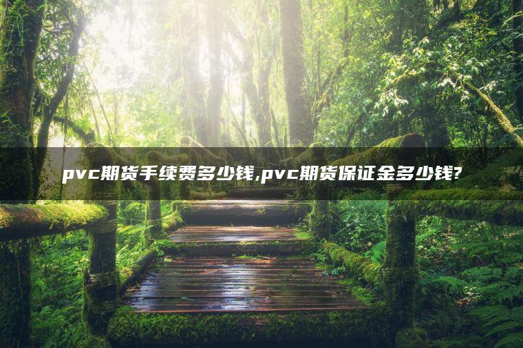 pvc期货手续费多少钱,pvc期货保证金多少钱?