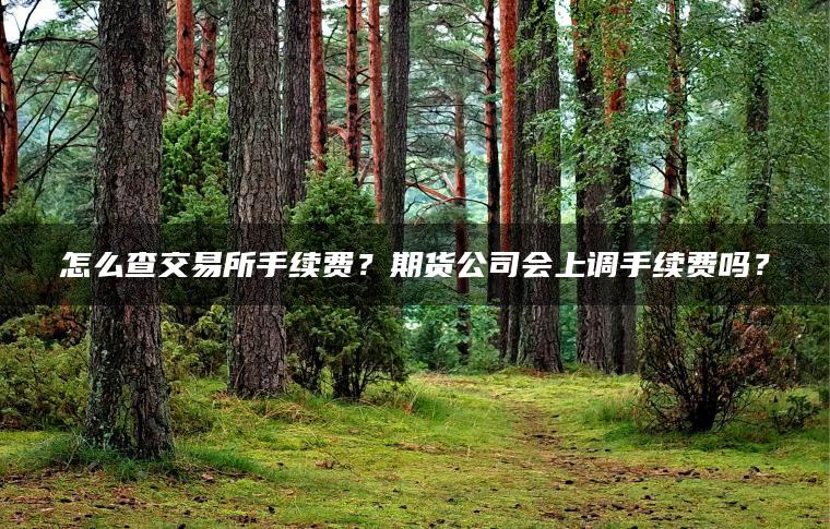 怎么查交易所手续费?期货公司会上调手续费吗? 怎么查交易所手续费?期货公司会上调手续费吗?