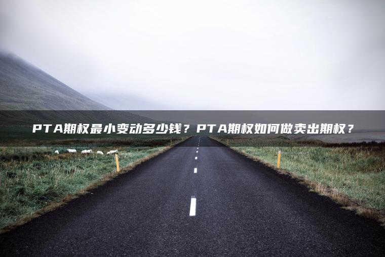 PTA期权最小变动多少钱?PTA期权如何做卖出期权? PTA期权最小变动多少钱?PTA期权如何做卖出期权?