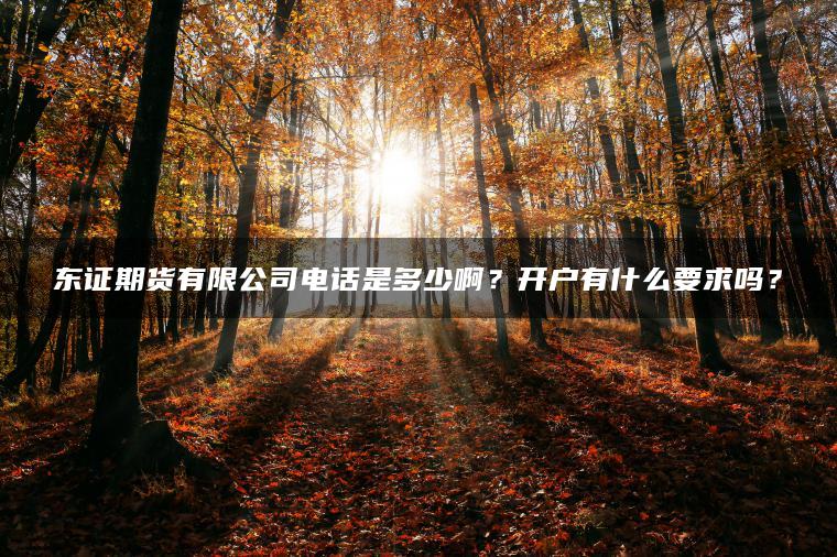 东证期货有限公司电话是多少啊?开户有什么要求吗? 东证期货有限公司电话是多少啊?开户有什么要求吗?