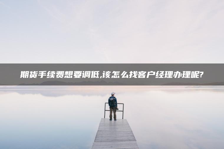 期货手续费想要调低,该怎么找客户经理办理呢? 期货手续费想要调低,该怎么找客户经理办理呢?