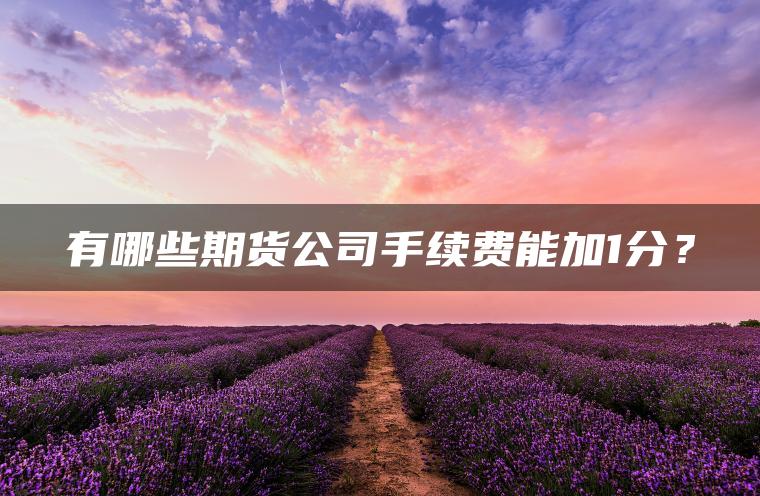 有哪些期货公司手续费能加1分？