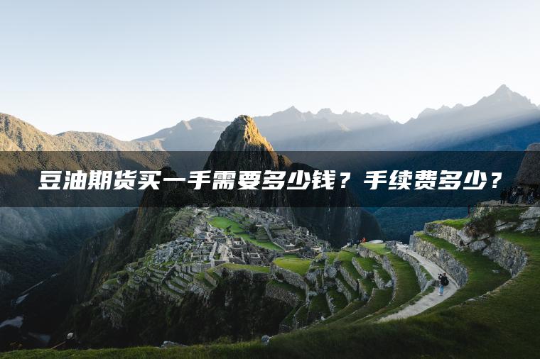 豆油期货买一手需要多少钱？手续费多少？