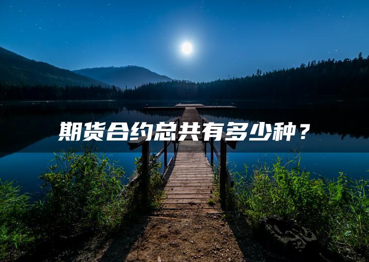 期货合约总共有多少种？