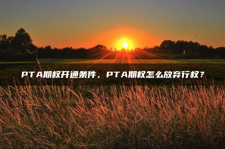 PTA期权开通条件,PTA期权怎么放弃行权? PTA期权开通条件,PTA期权怎么放弃行权?