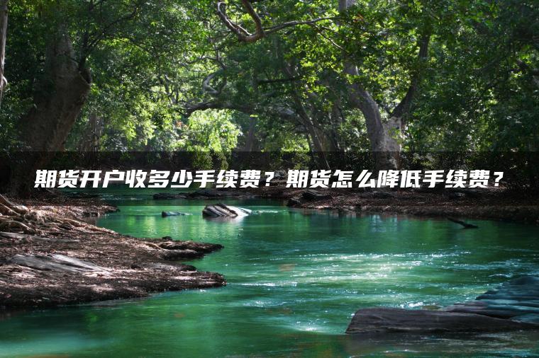 期货开户收多少手续费？期货怎么降低手续费？