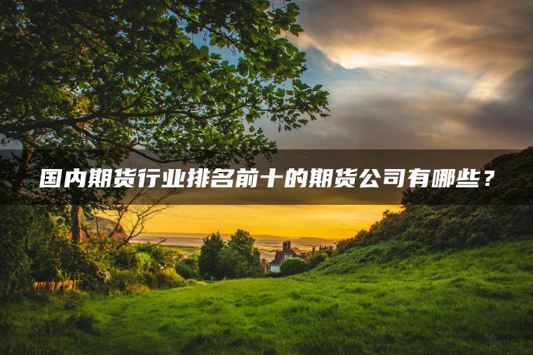 国内期货行业排名前十的期货公司有哪些? 国内期货行业排名前十的期货公司有哪些?