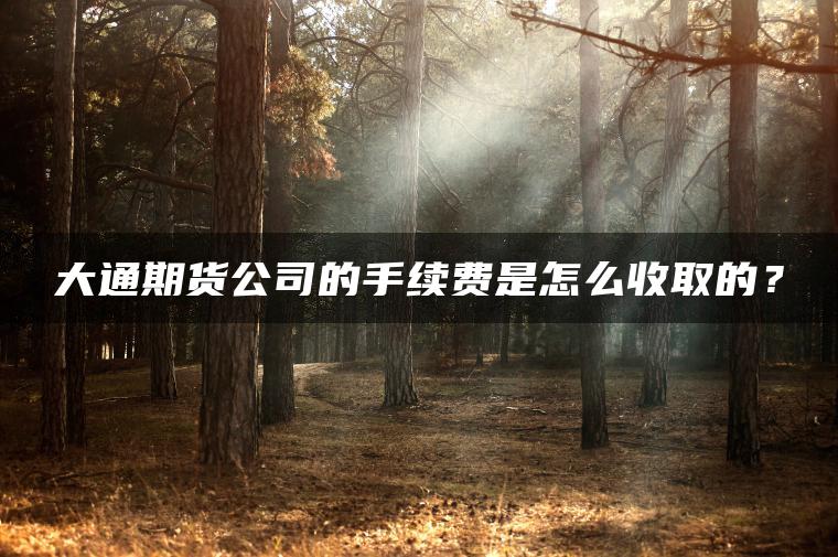 大通期货公司的手续费是怎么收取的？