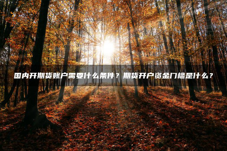 国内开期货账户需要什么条件？期货开户资金门槛是什么？