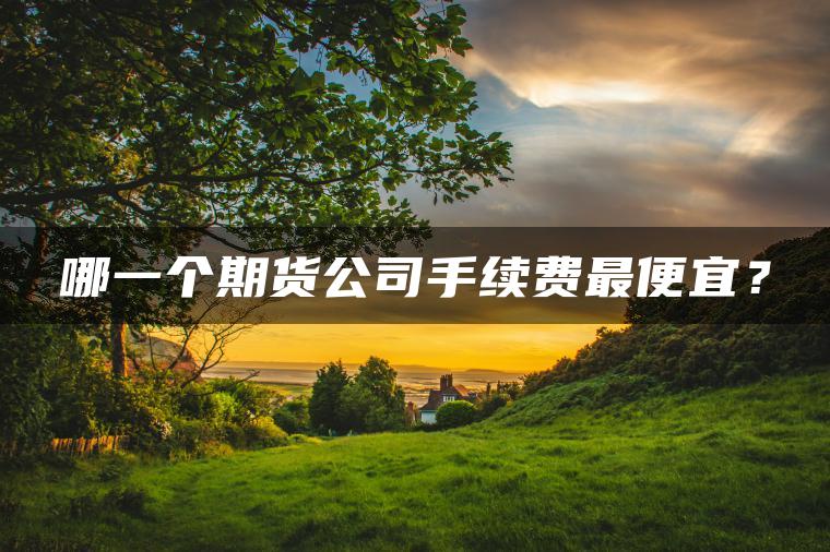 哪一个期货公司手续费最便宜？