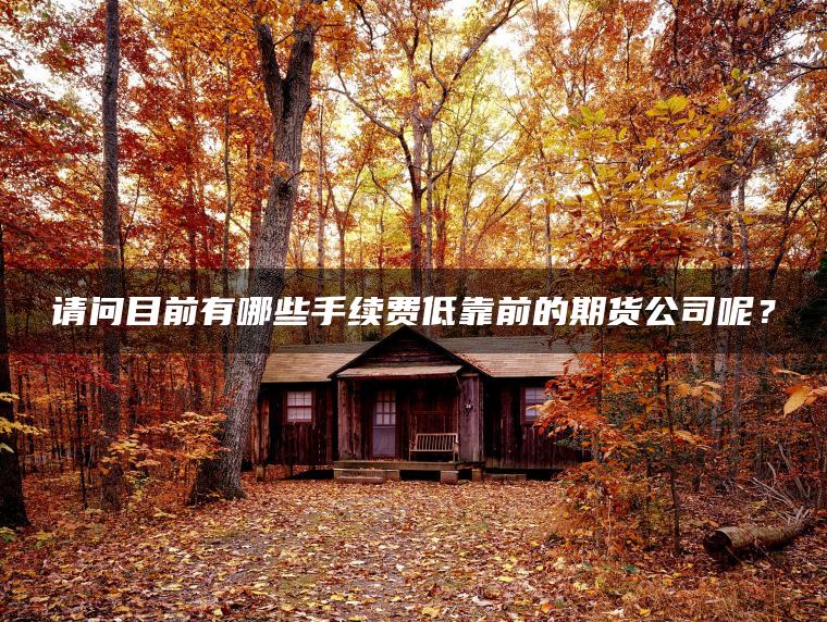 请问目前有哪些手续费低靠前的期货公司呢? 请问目前有哪些手续费低靠前的期货公司呢?