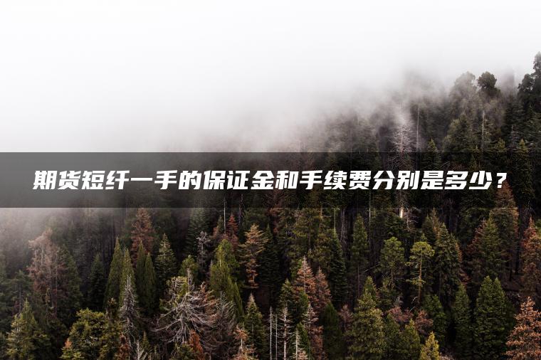 期货短纤一手的保证金和手续费分别是多少？
