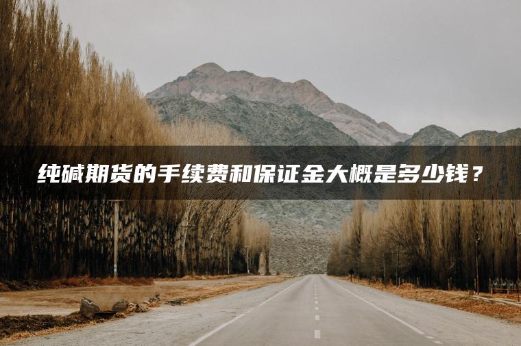 纯碱期货的手续费和保证金大概是多少钱? 纯碱期货的手续费和保证金大概是多少钱?