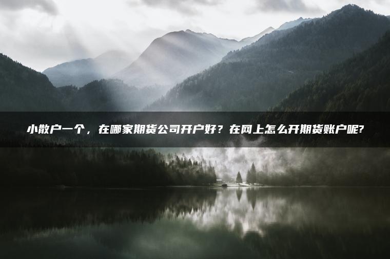 小散户一个，在哪家期货公司开户好？在网上怎么开期货账户呢?