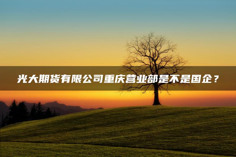 光大期货有限公司重庆营业部是不是国企？