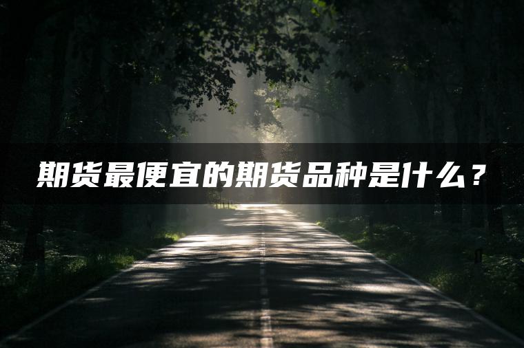 期货最便宜的期货品种是什么？