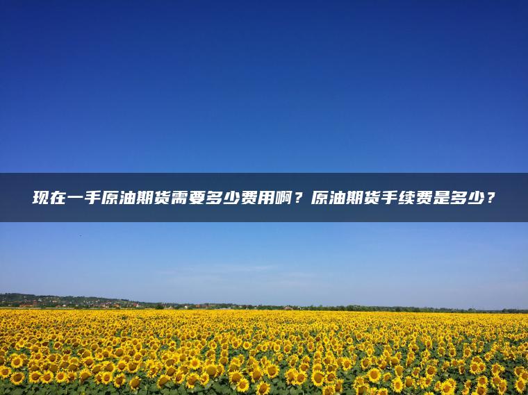 现在一手原油期货需要多少费用啊？原油期货手续费是多少？