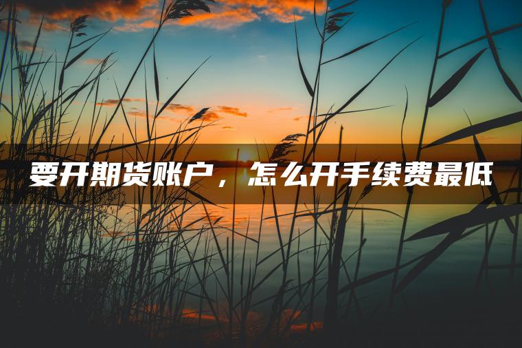 要开期货账户,怎么开手续费最低 要开期货账户,怎么开手续费最低
